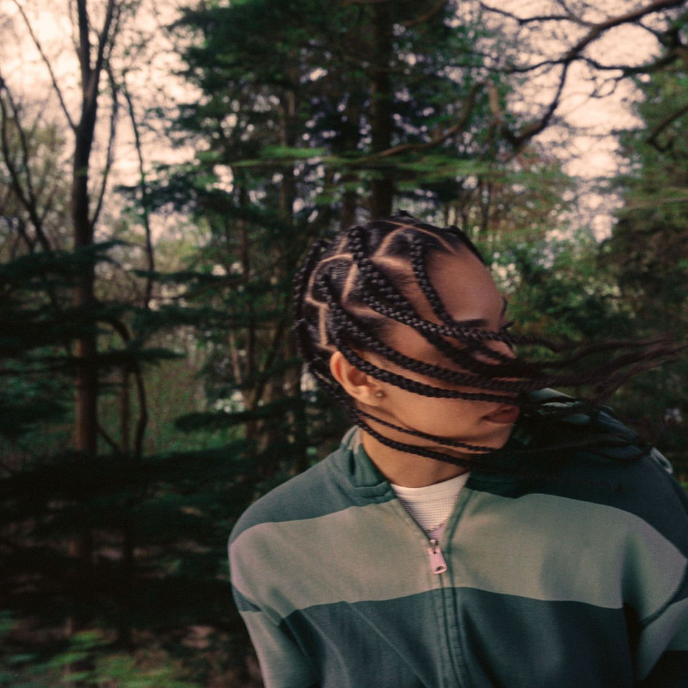 Amie Blu - trees for the woods